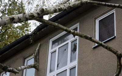 How to Protect Your Toledo Home from Wind Damage