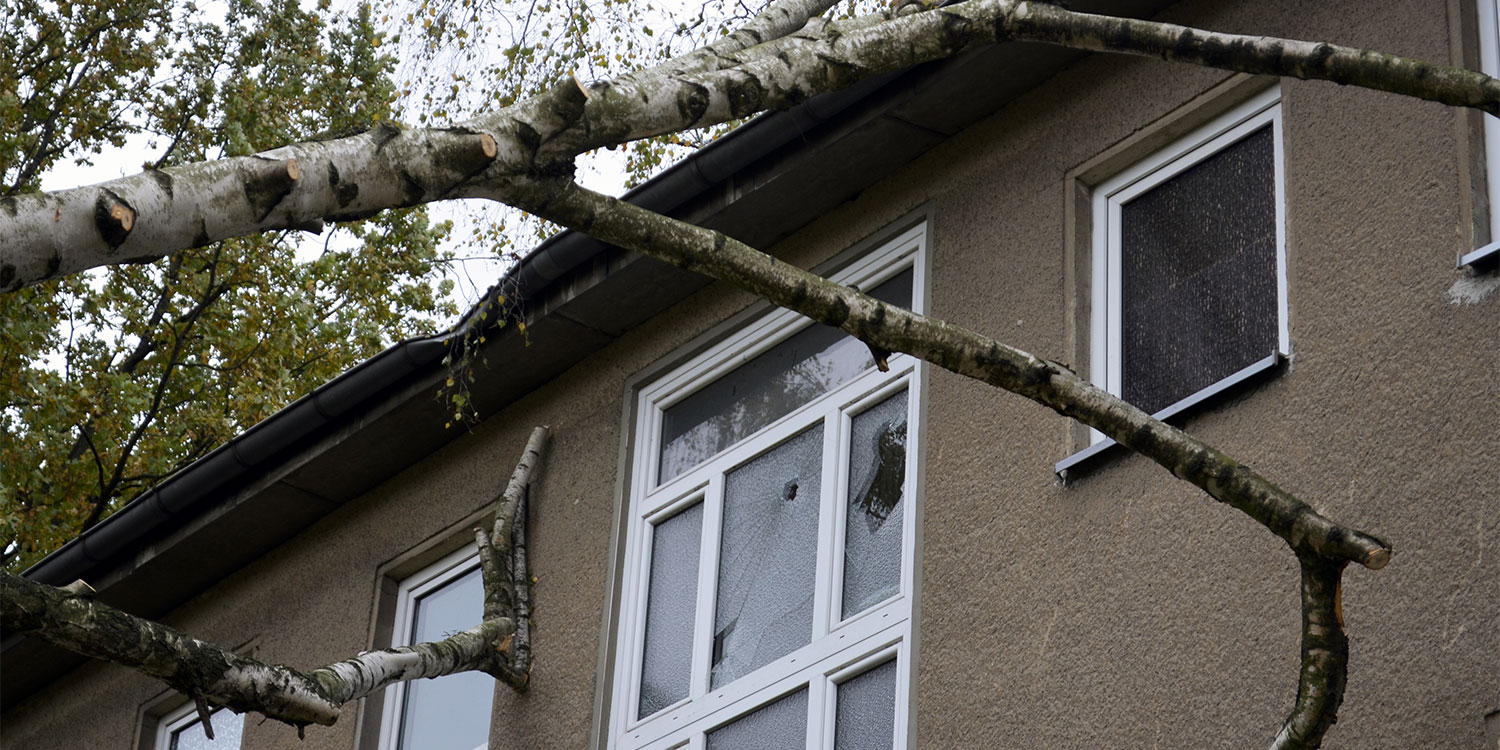 How to Protect Your Toledo Home from Wind Damage