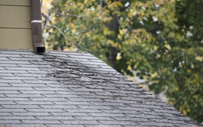Signs It’s Time for a Roof Replacement