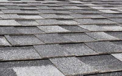 What Is the Best Time of Year for Roof Repair in Toledo, OH?
